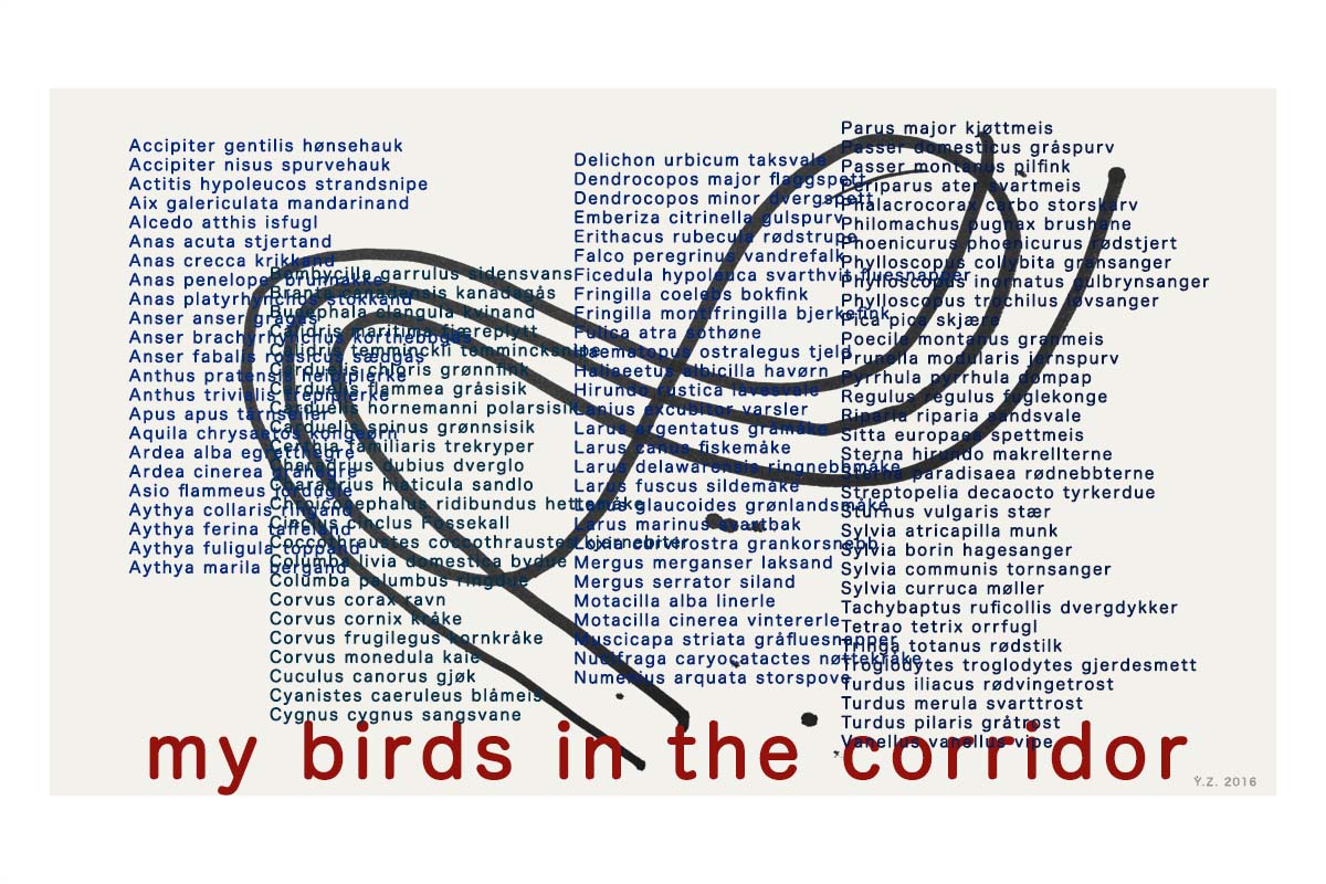 In the first issue of prints is the title print: my birds in the corridor